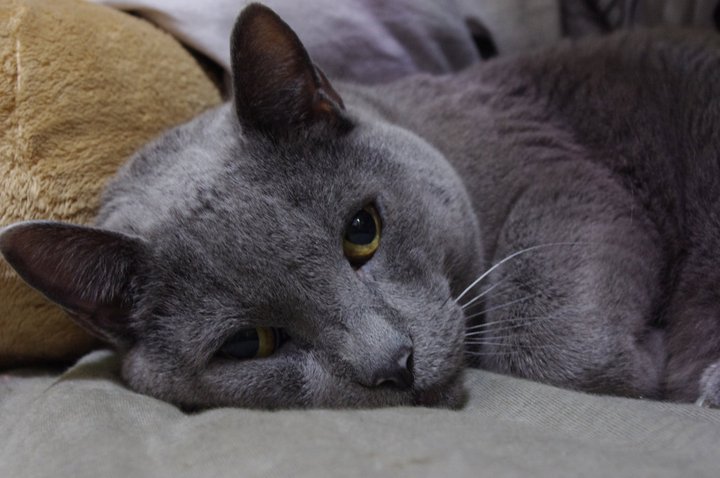 190549 10150171352336075 718816074 8736287 1298089 n