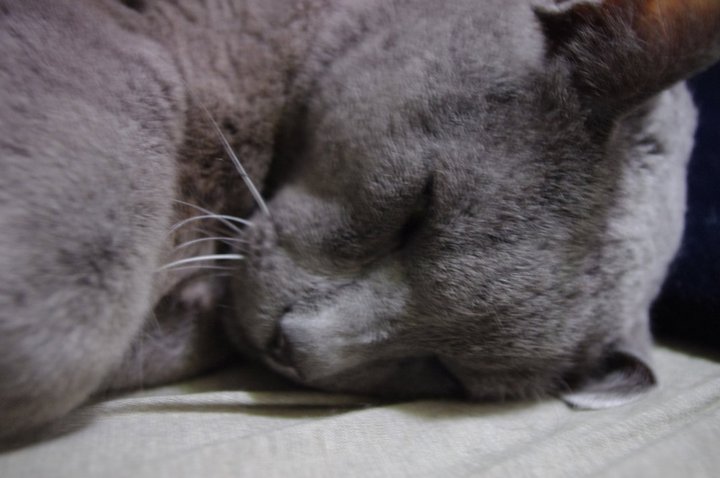 197559 10150171353501075 718816074 8736299 5358089 n