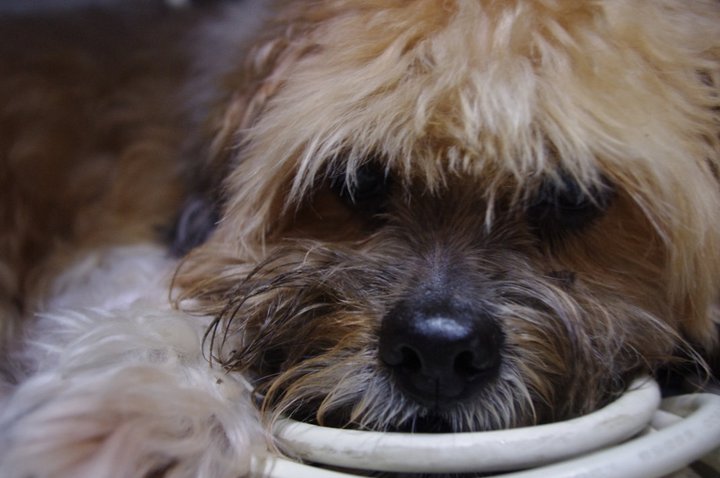 197611 10150171353581075 718816074 8736301 4185800 n